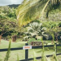 Domaine de la Palmeraie