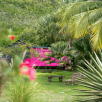 Domaine de la Palmeraie