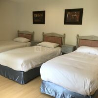 Château de Fontenaille