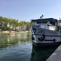 Le Martin Pêcheur
