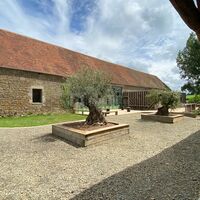Bancs d'oliviers