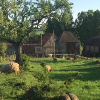 Domaine des Tours Vauquelin