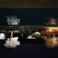 Le jardin illuminé