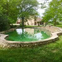 Bassin