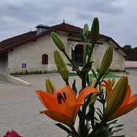 Vue d'ensemble