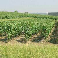 Le Clos des Terres Soudees
