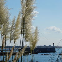 La Vigie Vacances