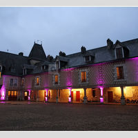 Château de la Mothe en Poitou