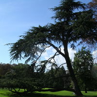 Le parc du chateau