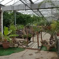 Iguana House