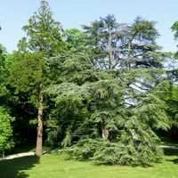 Le Parc
