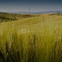 Domaine de Poussignan