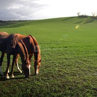 Domaine de Poussignan