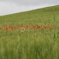 Domaine de Poussignan