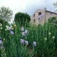 Domaine le Mas