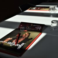 Hotel Ibis Lyon Sud Oullins