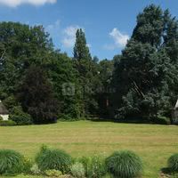 Ses jardins à l'anglaise