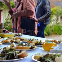 Fromage local pour les pique-niques