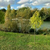 Pavillon de la Marne
