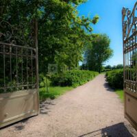 Des Roses et des Tours