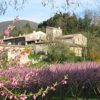 Vue principale