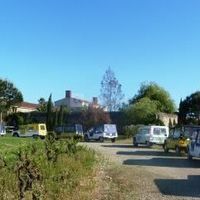 Visite du vignoble en méharis