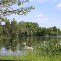 La Bouleaunière