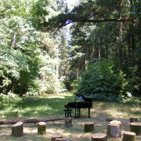 Château de la Forêt