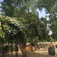 Les Chemins de la Rose