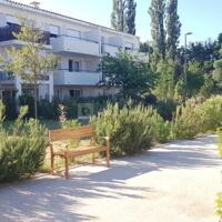 Esterazur