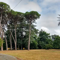 Une salle situé au cœur d'un écrin de verdure