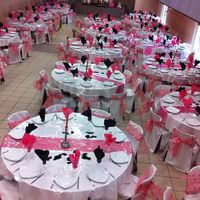 Darimene Reception