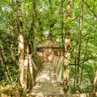 Cabane Pivert dans les arbres