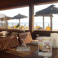 Maya Club