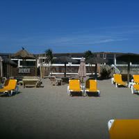 Maya Club