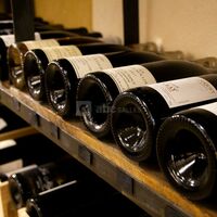 Nos vins