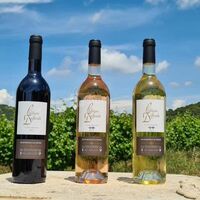 Nos vins