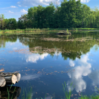 Parc du Domaine
