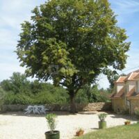 Domaine des Fonteneilles