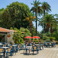 Domaine du Mas Blanc