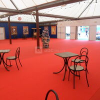 Le Village du Cirque Micheletty