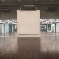 Le Toit de la Grande Arche