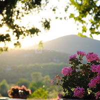 Coucher de soleil d'été