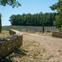 Le Domaine de Saint Quentin