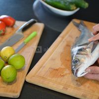 Menus cuisinés sur place par notre Chef !