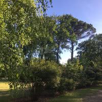 Parc