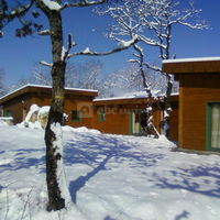 Sous la neige
