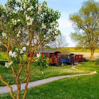 Le jardin au printemps