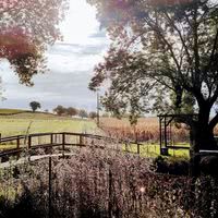 Le petit pont dans le jardin