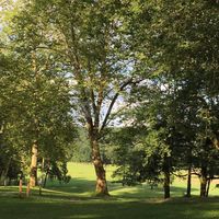 Domaine Nitot